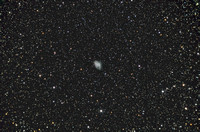 Crab Nebula M1 -17 November 2009