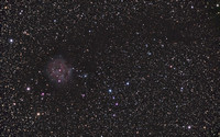 Cocoon Nebula IC 5146