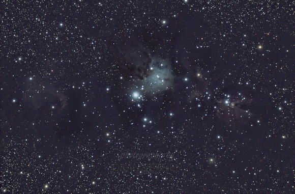 Cone and Fox Fur Nebula - NGC2264
